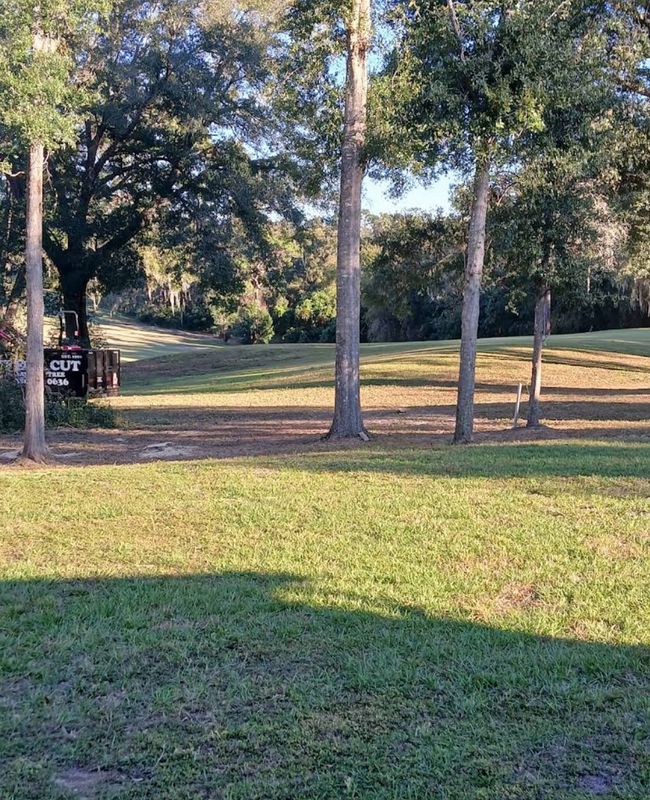 Fall Clean Up