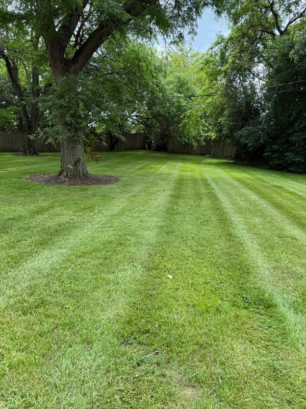 Lawn Maintenance