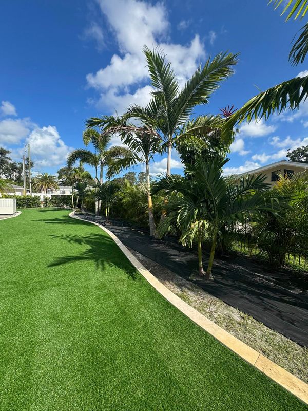 Lawn Care and Maintenance
