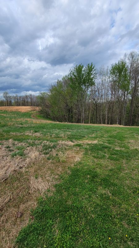 Land Clearing gallery