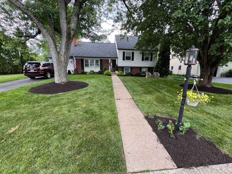 Lawn Care & Maintenance