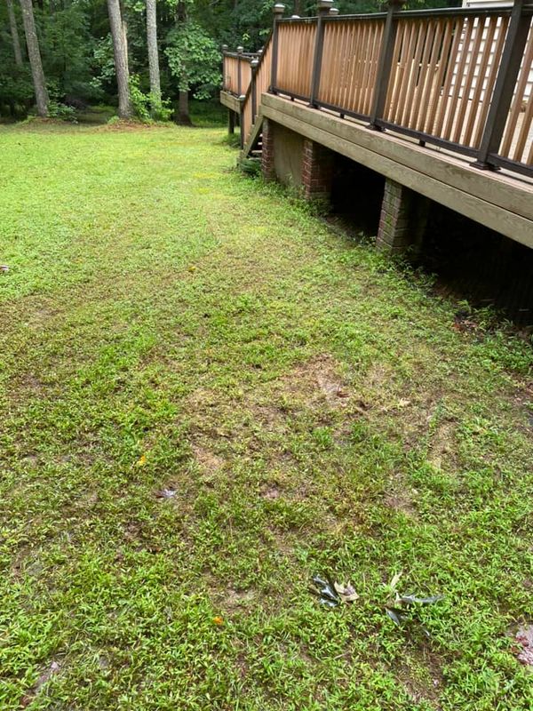 Specialty Item Removal