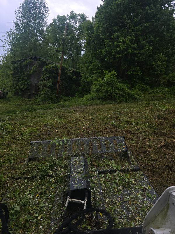 Land Clearing