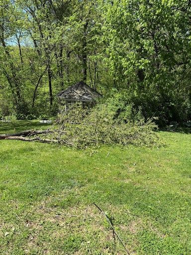 Tree Removal