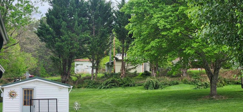 Tree Services