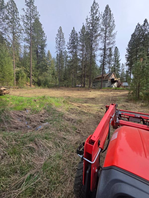 Tree Removal
