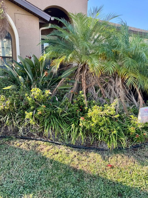 Landscaping