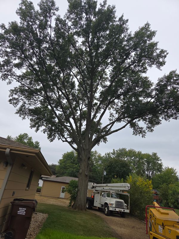 Storm Damage Cleanup