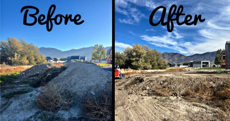 Land Clearing