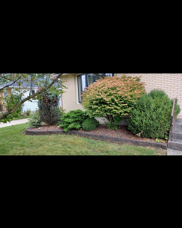 Shrub & Plant Installation Photos
