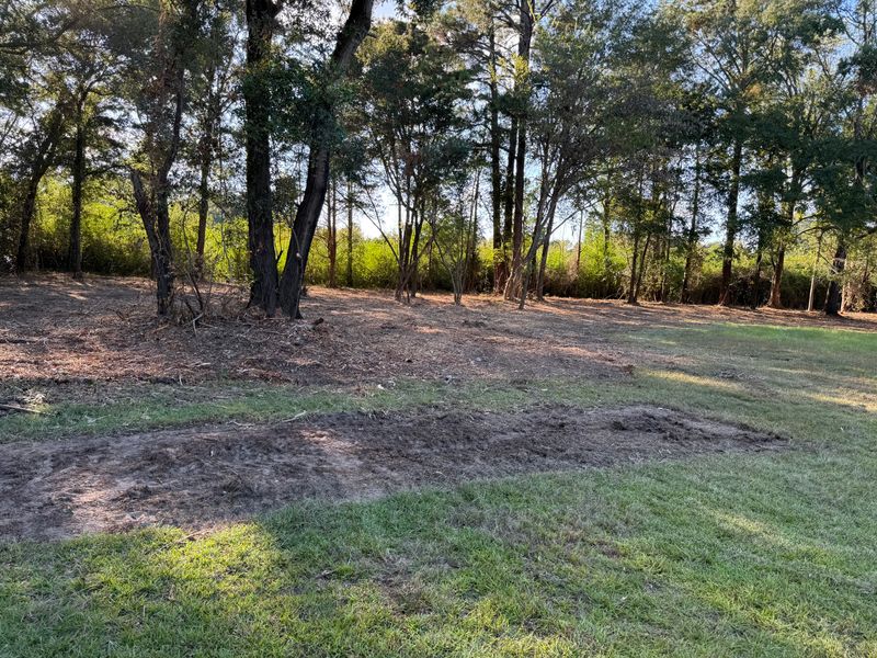 Land Clearing