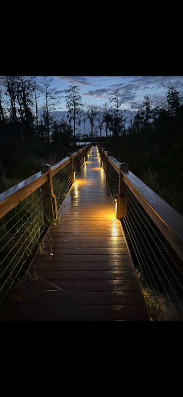 Exterior Lighting
