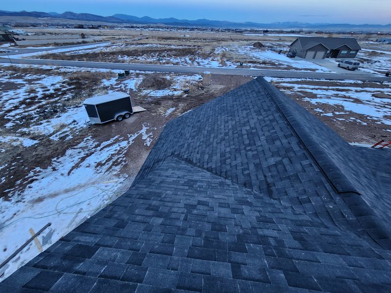 Shingle and Metal Roofs