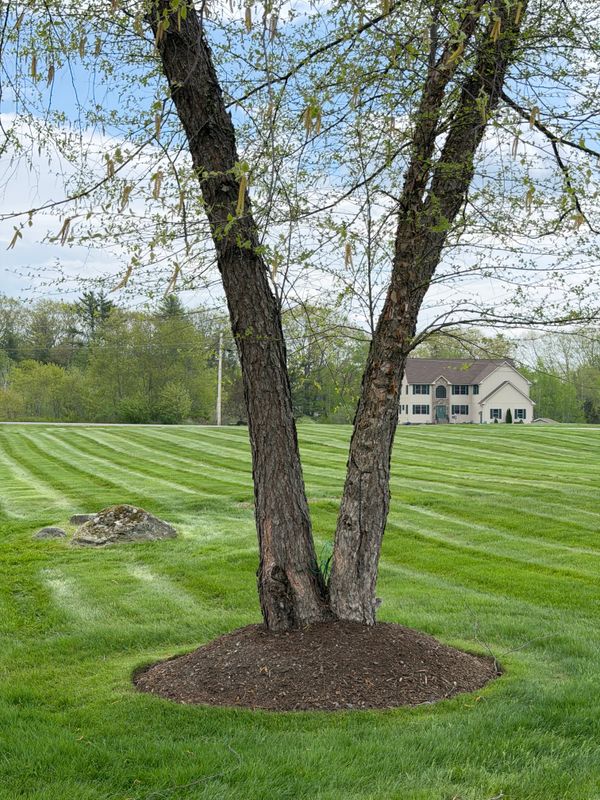 Mowing