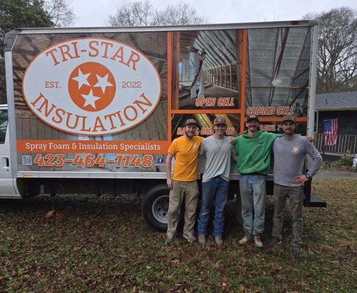 Eco-Friendly Insulation Options