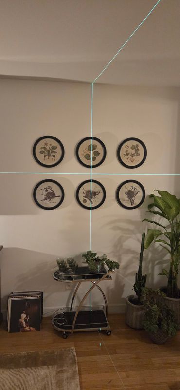 Picture hanging and art installations