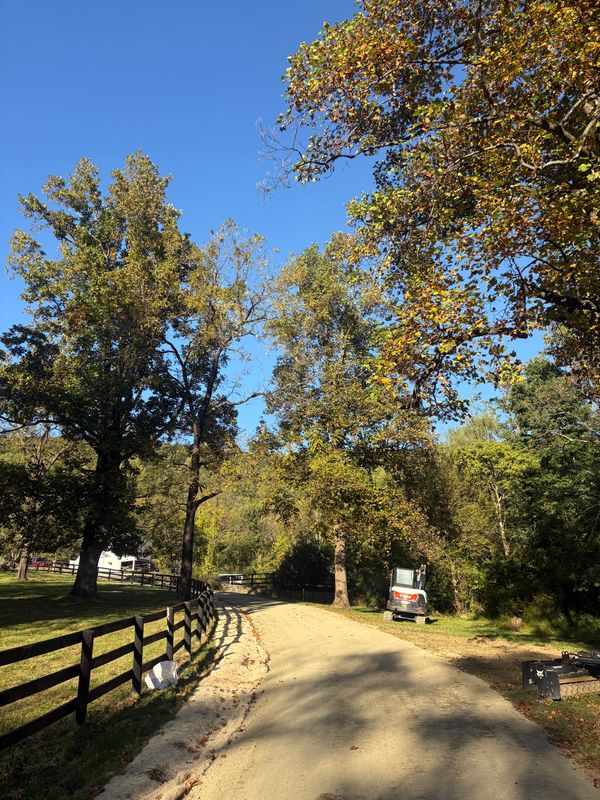 Gravel Driveway / Roadways