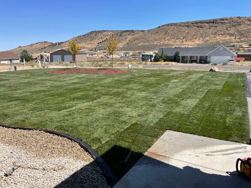 Landscaping