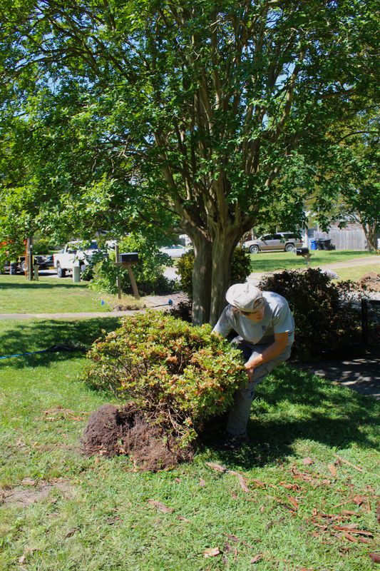 Landscape Design & Renovation