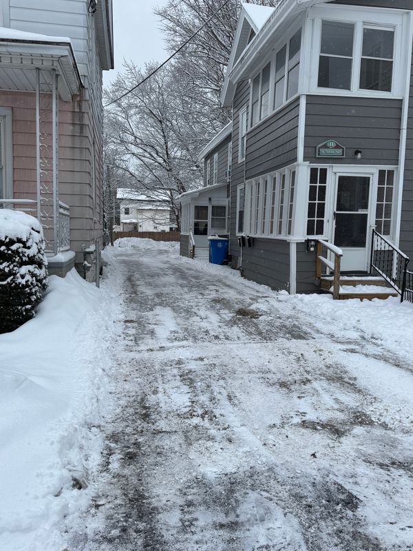 Seasonal Clean-up Services
