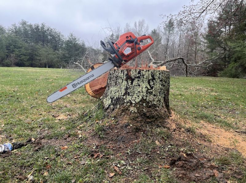 Tree Services