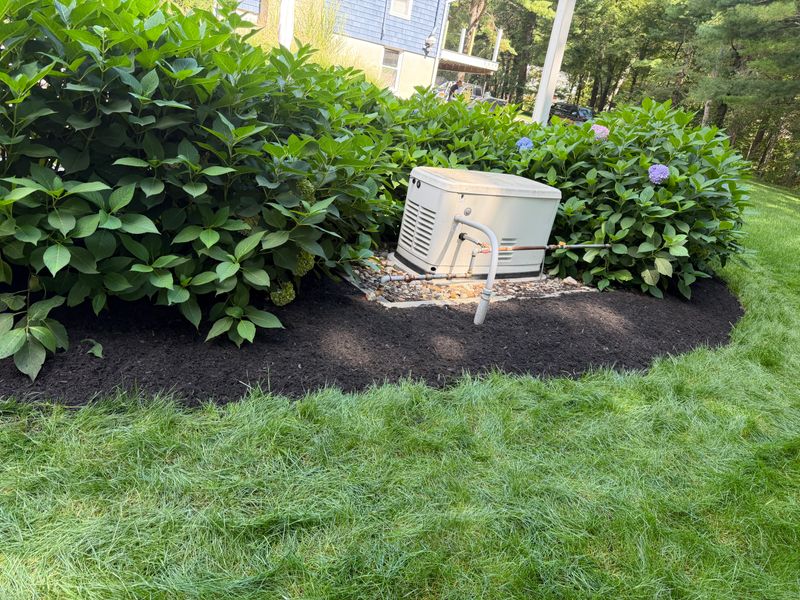 Spring and Fall Clean Up