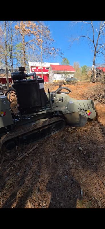 Stump Grinding