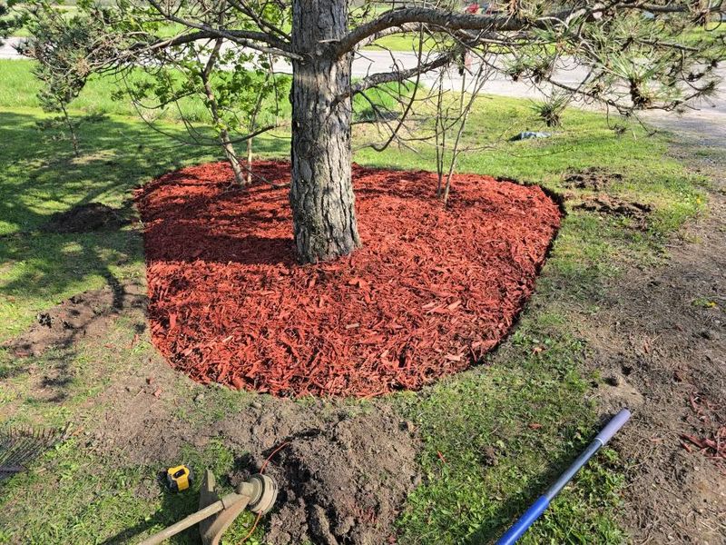 Landscaping