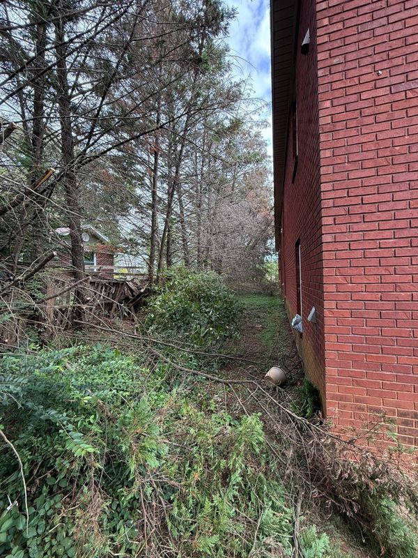 Tree Trimming & Removal