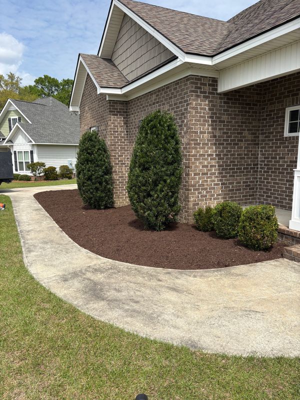 Tree & Shrub Care