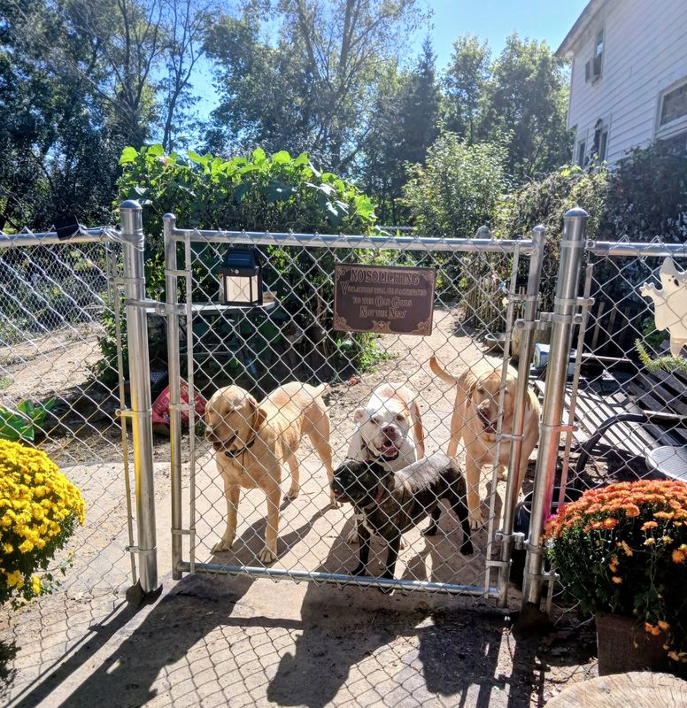 Chain Fences