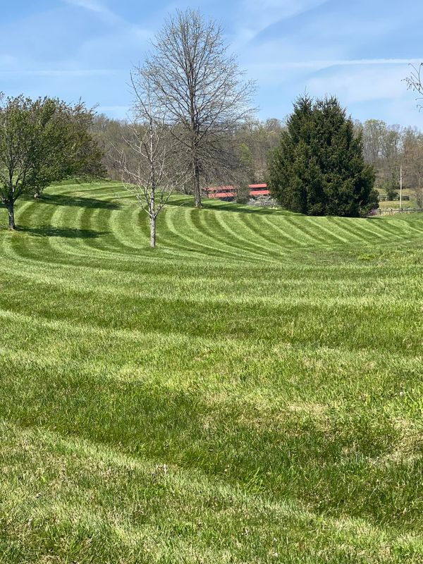 Mowing