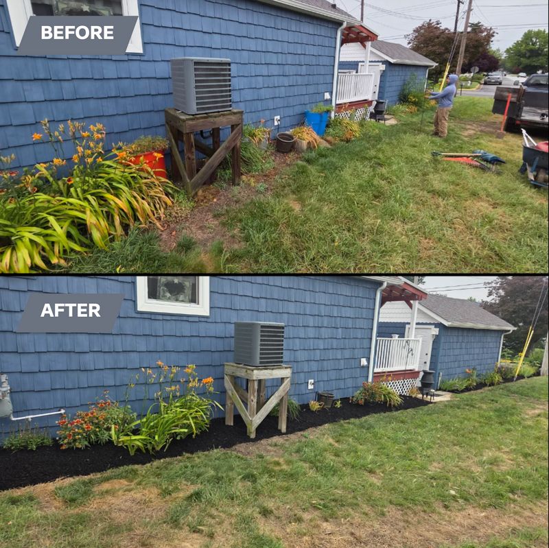 Lawn Care and Maintenance
