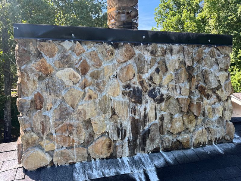 Soft Washing Services