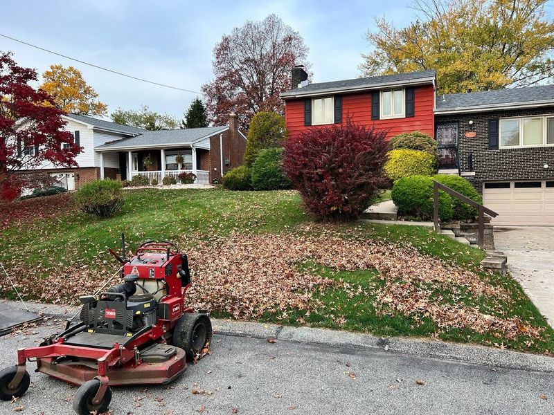 Fall and Spring Clean Up