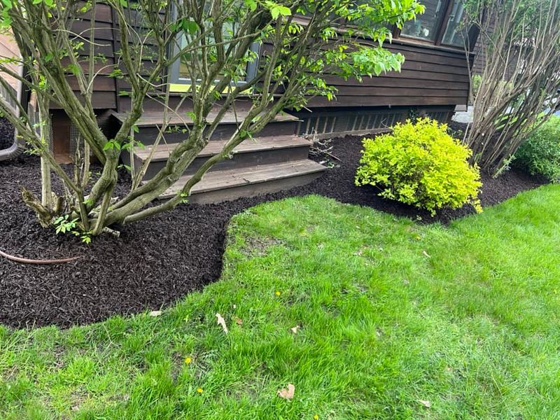 Lawn Care