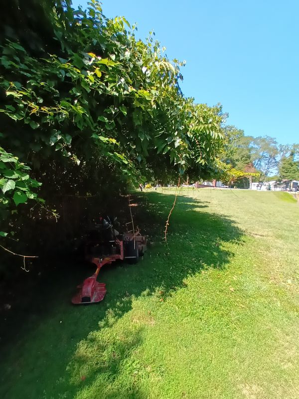 Grass Up
