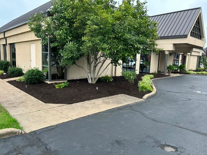 Patios & Walkways