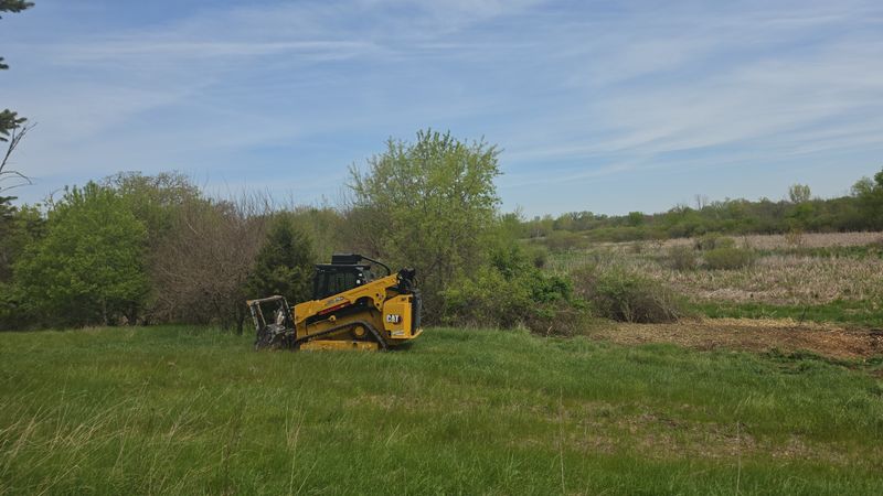 Forestry Mulching