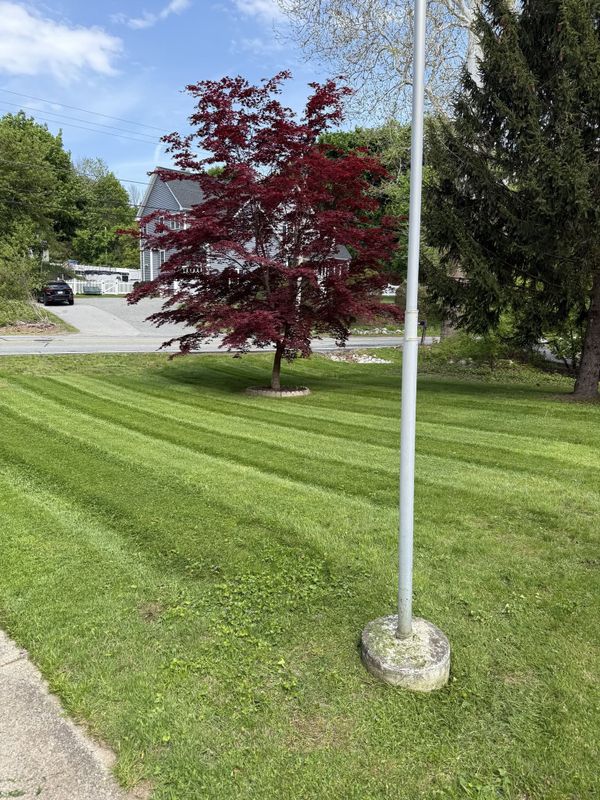 Lawn and Yard Renovation