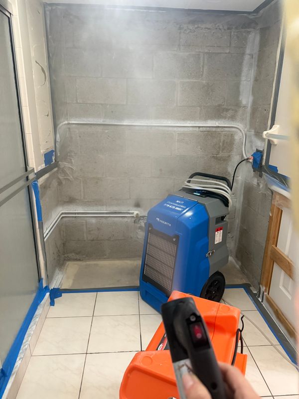 Mold Remediation