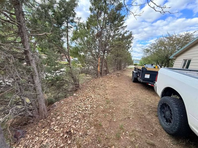 Tree Removal