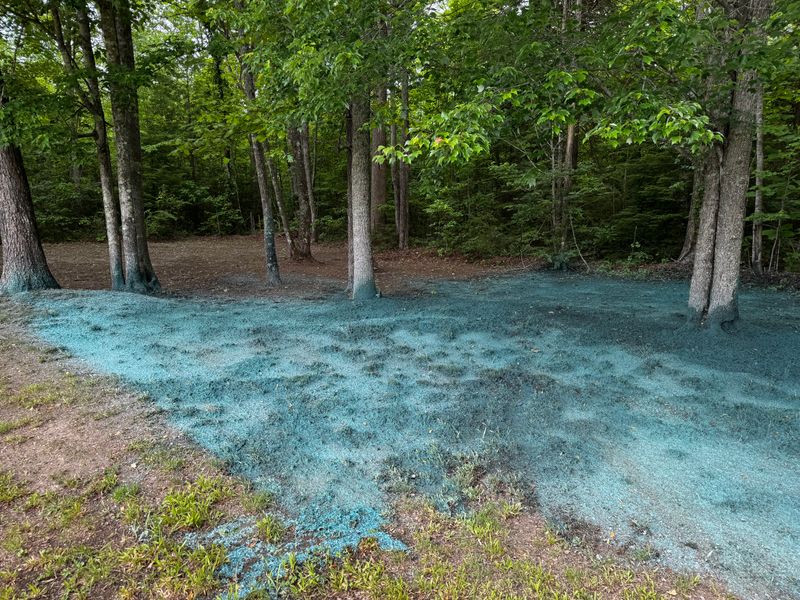 Hydroseeding