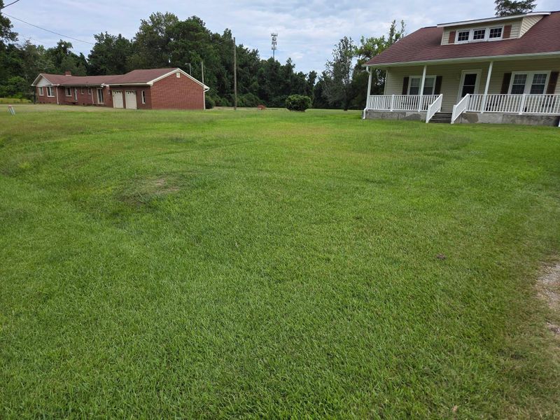 Routine Lawn Maintenance
