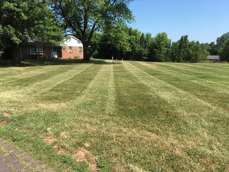 Lawn Maintenance