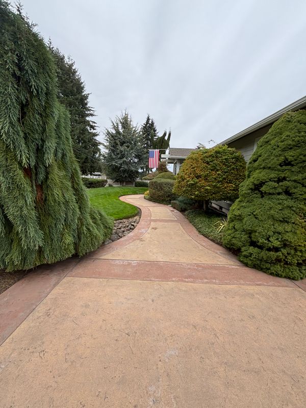 Revitalize Your Stamped Concrete with Elite Cleaning Co.