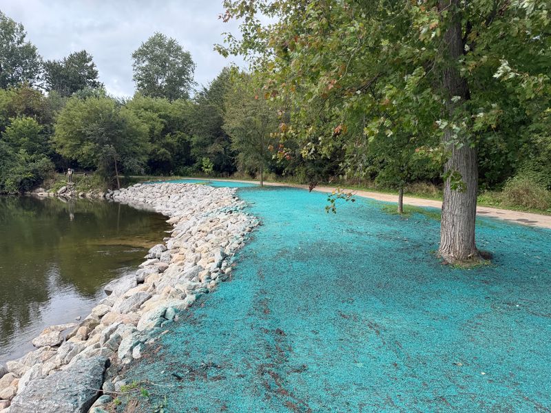 Erosion Control and Silt Fence