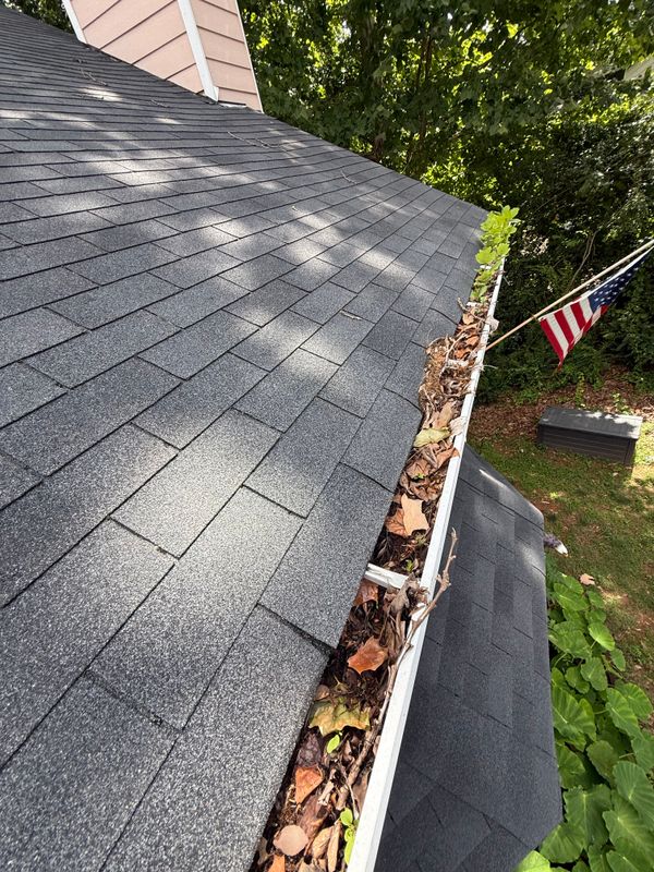 Gutter Cleaning