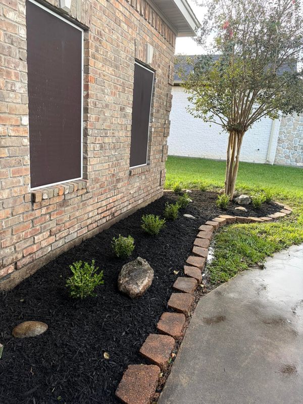 Tree & Shrub Care