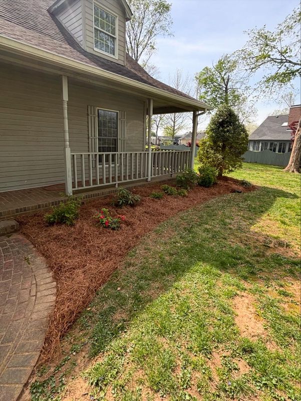 Lawn Maintenance